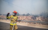 Wielkie pożary w Grecji. Polscy strażacy pomagają w trudnych chwilach. Trwa ewakuacja miast i wysp