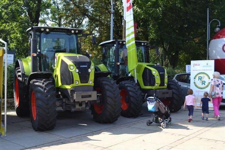 XXIV Krajowa Wystawa Rolnicza w Częstochowie. Zobaczcie program i plan wystawy!