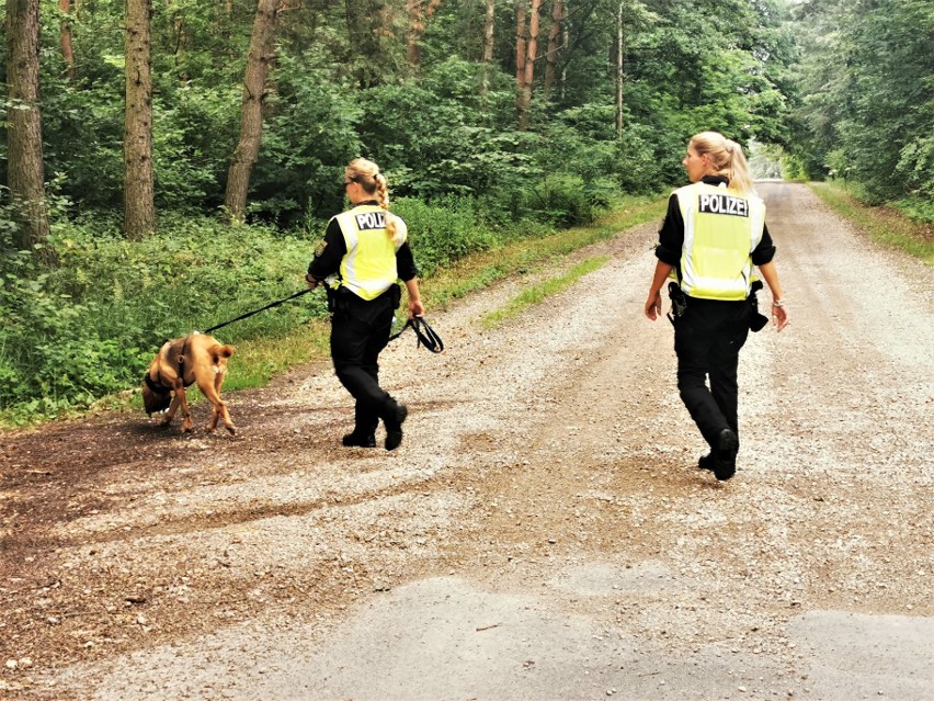 Morderstwo w Borowcach. Poszukiwania mężczyzny trwają...