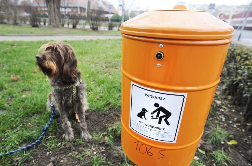 Wrocław: Znikają pomarańczowe kubły na psie kupy. Nie pasują do wystroju miasta