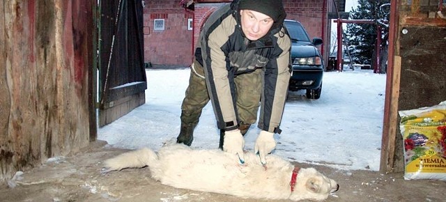 - Skonał zanim dobiegłem do niego &#8211; mówi Marek Sroka pokazując rany na ciele zastrzelonego psa.