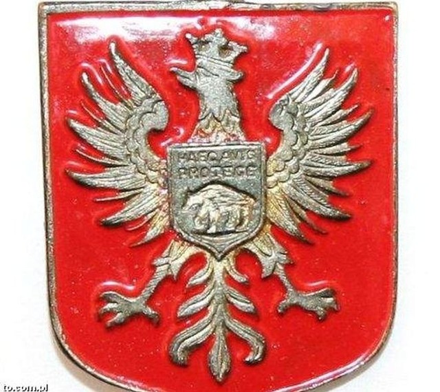 Odznaka &#8222;Za zasługi dla miasta Ostrołęki&#8221;