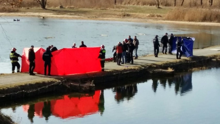 Przechodzień zauważył ciało w stawie Rzęsa w Siemianowicach...