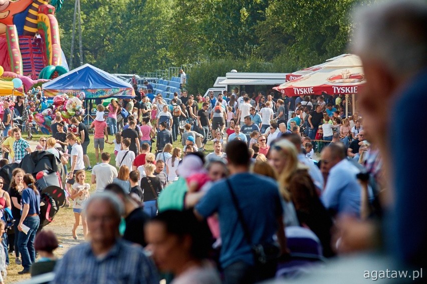 Wyścigi na Partynicach