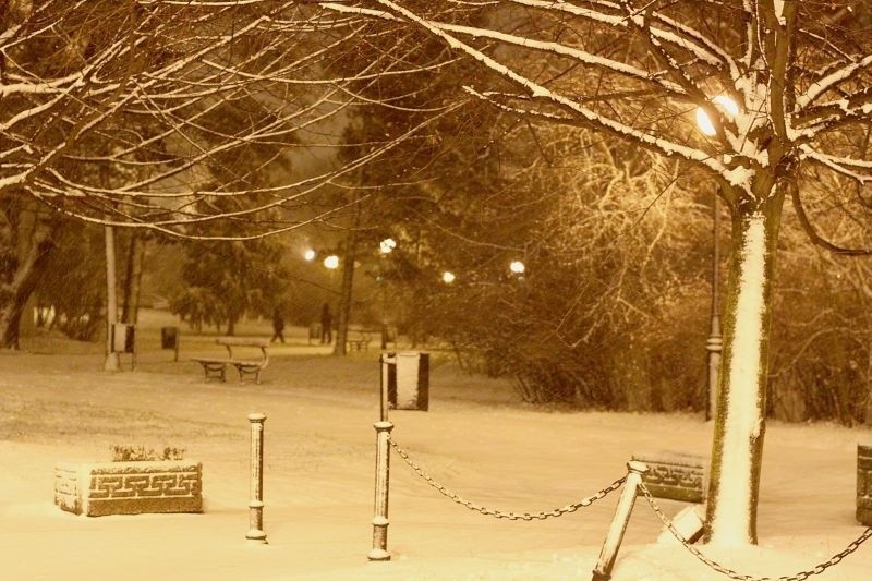 Zima zawitała do Łodzi! Sypie śnieg. Uwaga na śliskie jezdnie [zdjęcia]