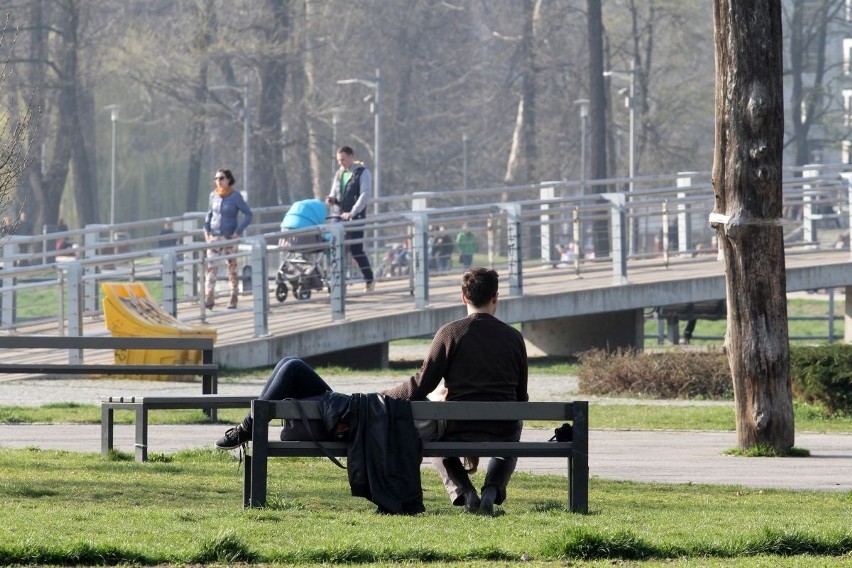 Wrocławianie na Wyspie Słodowej. Wiosenna pogoda zachęca [GALERIA]