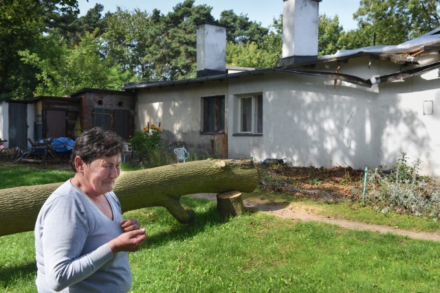 Sierpniowa nawałnica nie oszczędziła ul. Rudackiej w Toruniu. Potrzebna pomoc