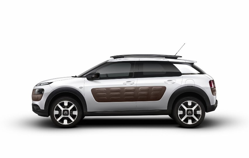 Citroen C4 Cactus
Fot: Citroen