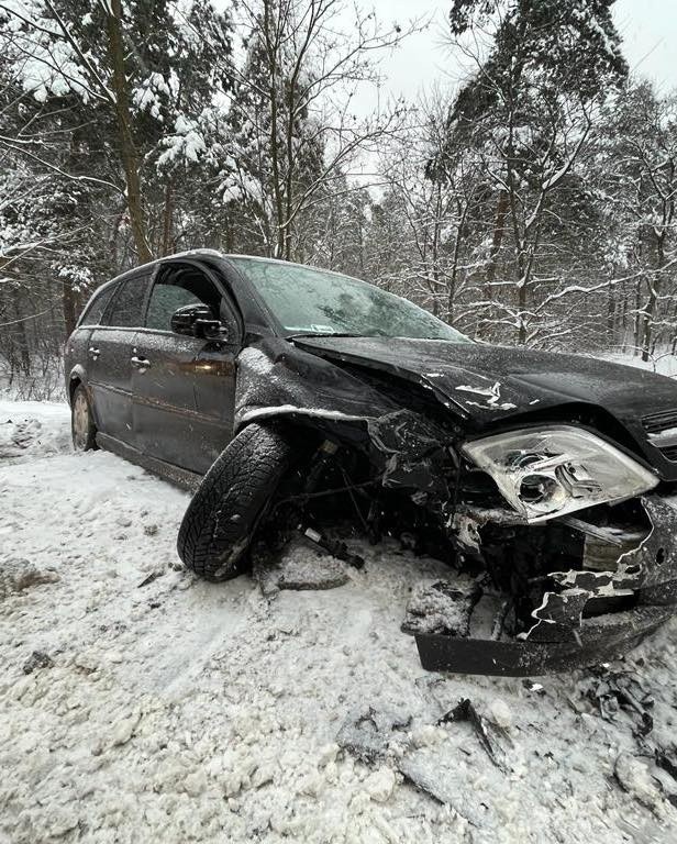 Atak zimy na opolskich drogach. Drzewo spadło na samochód, potrącona nastolatka, wypadek na A4. Służby mają mnóstwo pracy