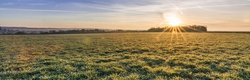 Jak zostać rolnikiem? Sprawdziliśmy, co trzeba zrobić