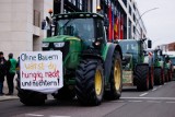 Czy rolnicy obalą europejski Zielony Ład? Organizacje rolne zapowiadają kontynuację i koordynację swoich działań