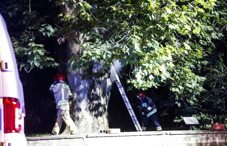 Zmarły w wyniku poparzenia w centrum Rzeszowa mężczyzna miał 56 lat. Jak ustaliła policja, był osobą bezdomną