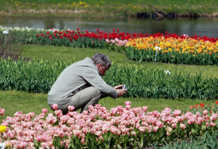 Niedziela Wielkanocna w Łodzi. Łodzianie zwiedzali Ogród Botaniczny [ZDJĘCIA+FILM]