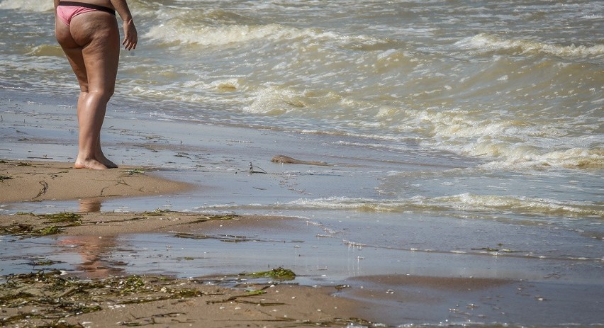Sinice w Bałtyku. 49 plaż na Pomorzu ma problem z sinicami....