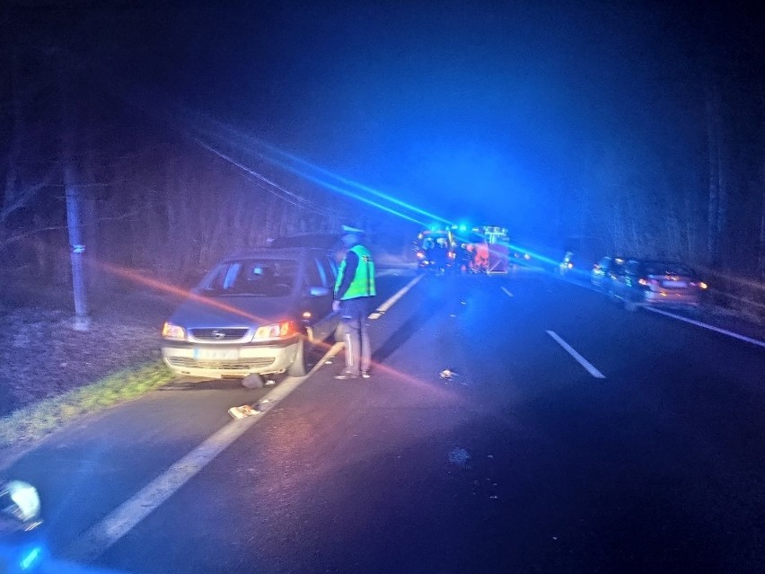 Policja szuka świadków śmiertelnego potrącenia pieszego w...