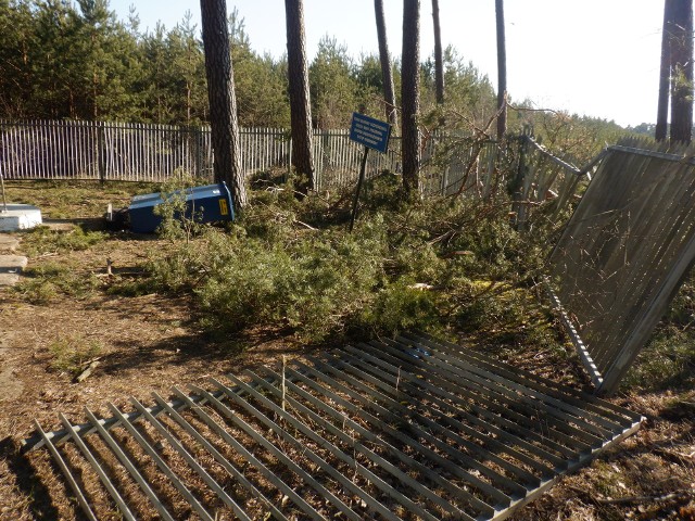 Teren zniszczonej podczas ostatniej wichury studni w bydgoskim Lesie Gdańskim