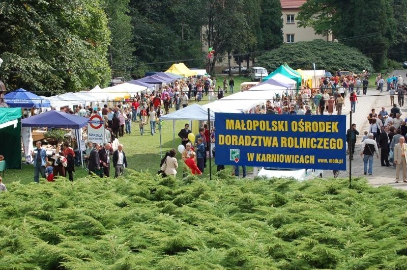 Na imprezę przybywają rokrocznie tłumy - zarówno uczestników...