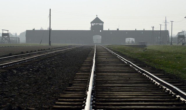 Tory na terenie byłego obozu koncentracyjnego Birkenau.