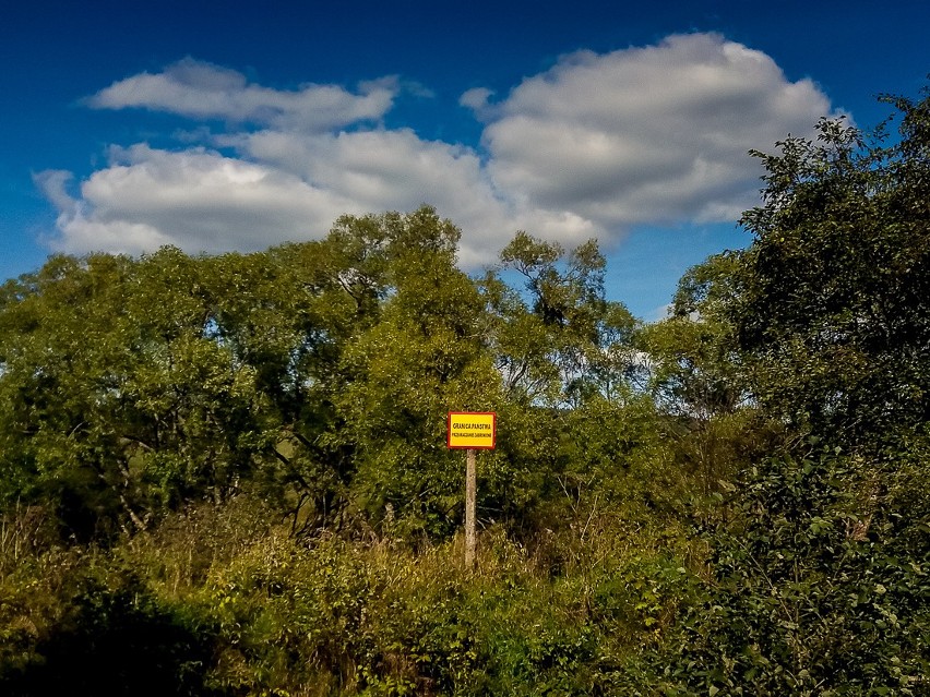 Torfowisko Tarnawa , Ustrzyki Górne i Cisna - tam wczoraj...