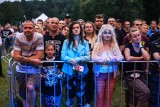 Darmowy cykl koncertów w Poznaniu:#NaFalach nad Jeziorem Strzeszyńskim wystąpiła Luxtorpeda [ZDJĘCIA]