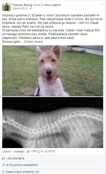 Zdjęcia zabitego psa opublikowane w internecie