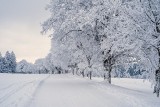 Od zachodu się ociepla. Prognoza na poniedziałek i wtorek