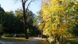 Piękna jesień w Mikołowie i zmiany w parku Planty ZDJĘCIA