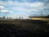 Plaga pożarów traw na terenie powiatu staszowskiego.
