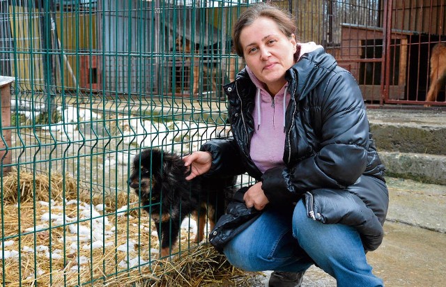 Dorota Hauben-Kołodziej uważa, że bezdomne psy z Brzeska powinny zostać w Rzezawie