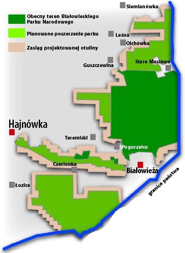 Tak, według ministerialnego projektu, ma się powiększyć Białowieski Park Narodowy