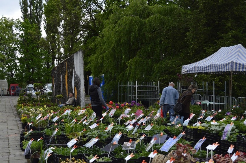 Wystawa Kwiatów i Ogrodów w Parku Śląskim