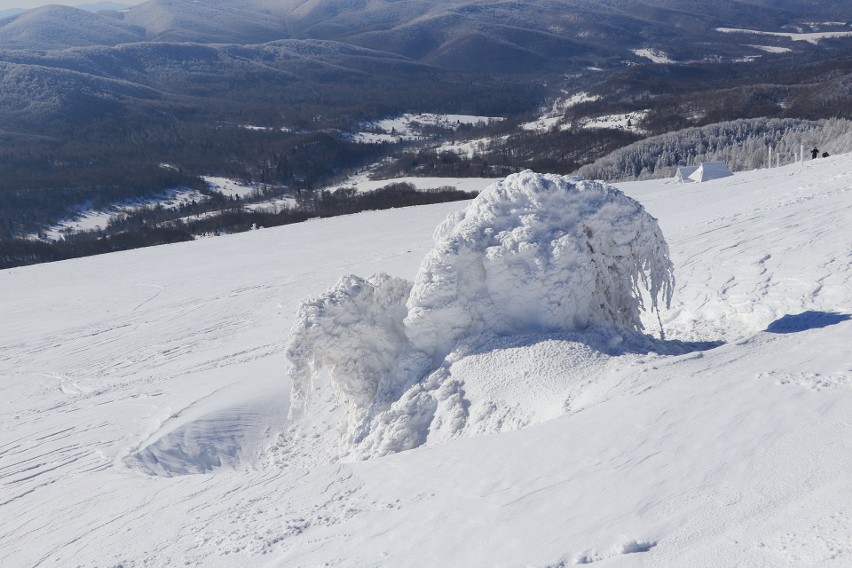 Zima na Połoninie Wetlińskiej. Zobacz niesamowite zdjęcia Bieszczadzkiego Parku Narodowego