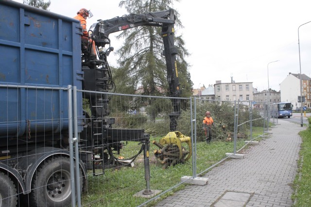 Prace w parku w centrum Gubina trwają.