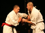 Karatecy z Końskich walczyli w mistrzostwach Europy (zdjęcia)