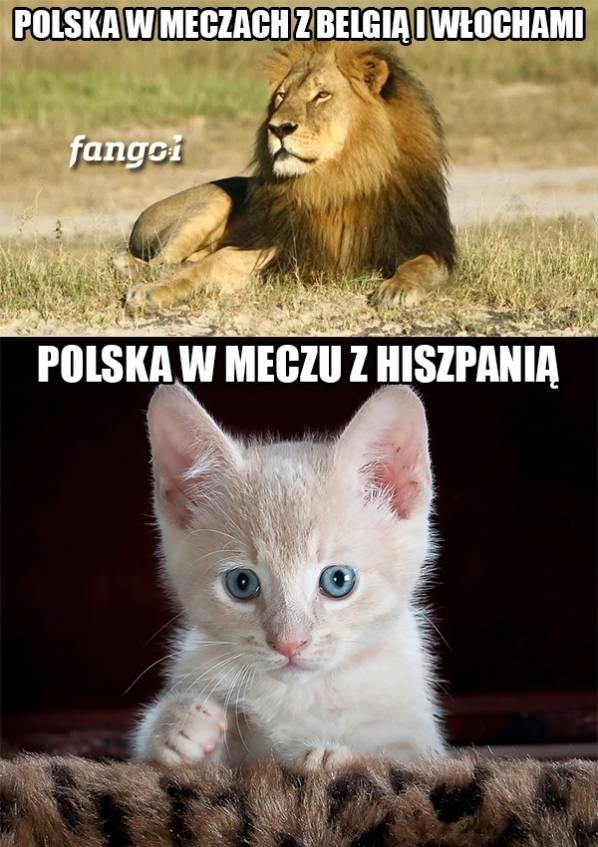 Memy po meczu Polska - Hiszpania