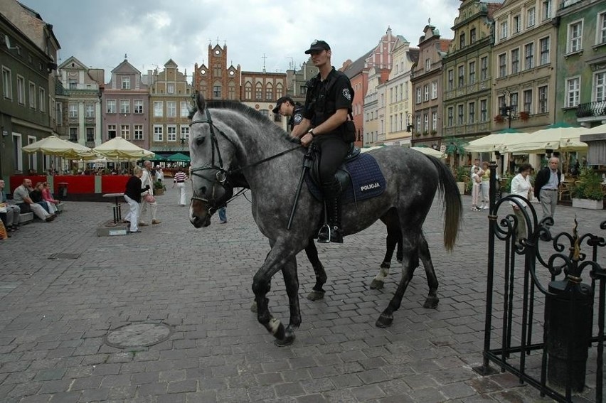 Poznańska policja konna - ćwiczenia