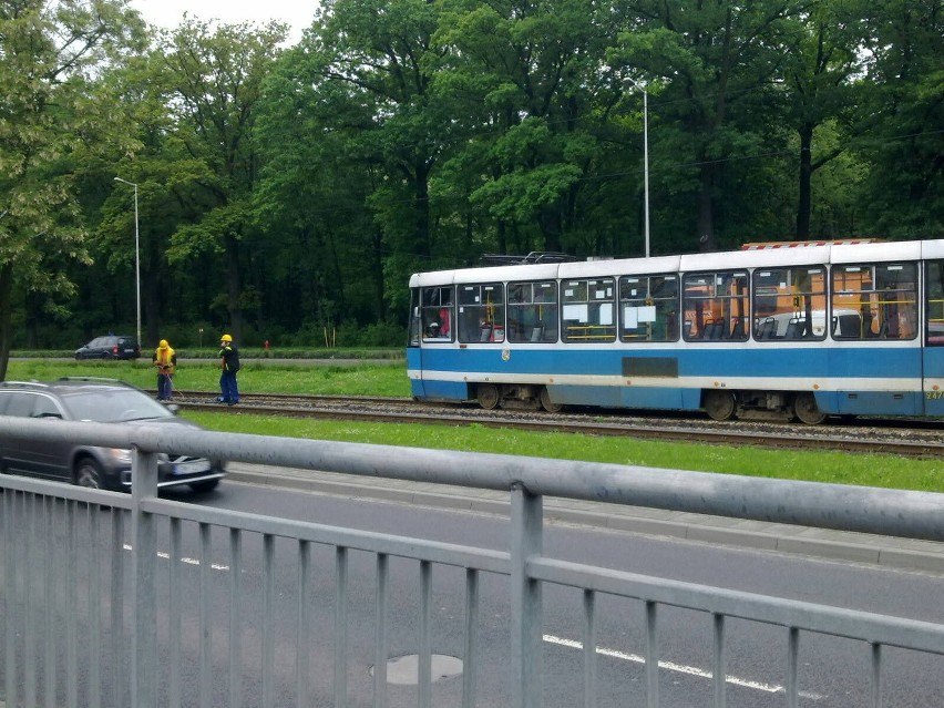 Wrocław: Zerwana trakcja na Lotniczej naprawiona. Tramwaje wróciły na swoje trasy (ZDJĘCIA)