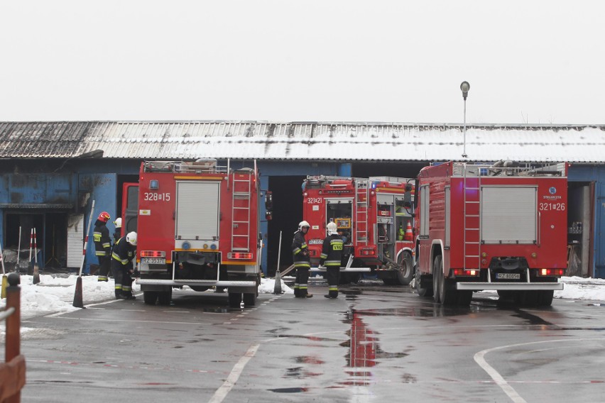 Pożar na strzelnicy LOK przy Gołębiej w Rzeszowie. Na miejscu pracuje 8 zastępów straży pożarnej [ZDJĘCIA, WIDEO] 
