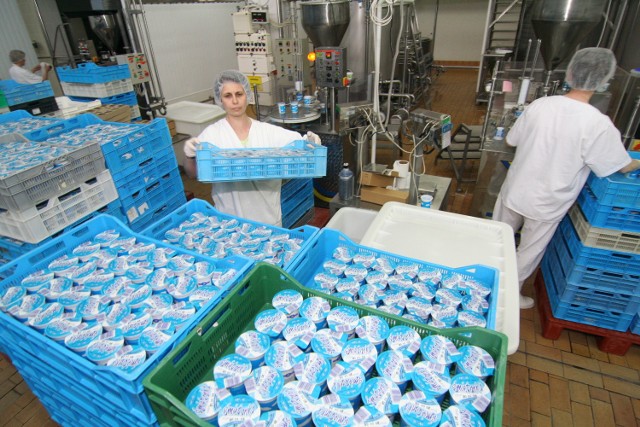 Duże firmy reprezentuje m.in. Spółdzielnia Mleczarska "Świecka". Skupuje mleko od ok. stu dostawców. Produkuje masło, serki homogenizowane, twarogi, śmietany, maślankę, sery i jogurty