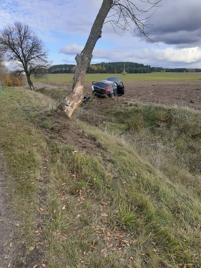 Wincenta. Wypadek na drodze powiatowej. Hyundai uderzył w drzewo. Kierowca ranny [ZDJĘCIA]