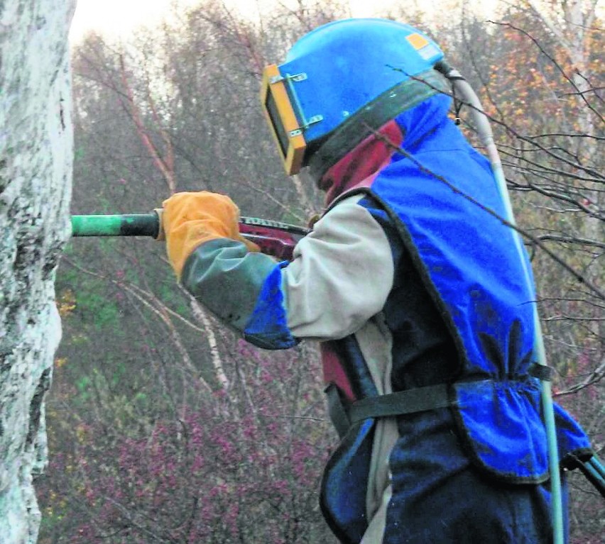 Graffiti usunięte. Skały na Kromołowcu wreszcie czyste ZDJĘCIA z akcji Czyste skały