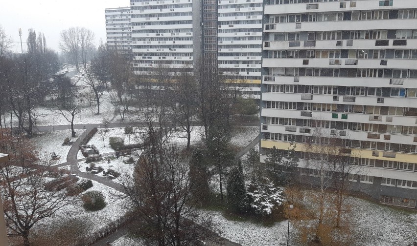 Pierwszy śnieg w Katowicach