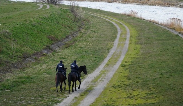 Poznaniacy, którzy spacerują w okolicach Warty, coraz częściej spotykają na swojej drodze końskie odchody. W tych rejonach często widzą też konne patrole policyjne. Przejdź do kolejnego zdjęcia --->