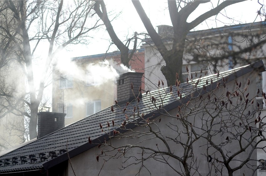 Rybnik: Mają dość smogu. Norma przekroczona o 400 proc.