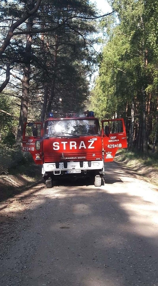 Na odcinku drogi Koczała - Grabowo palił się samochód