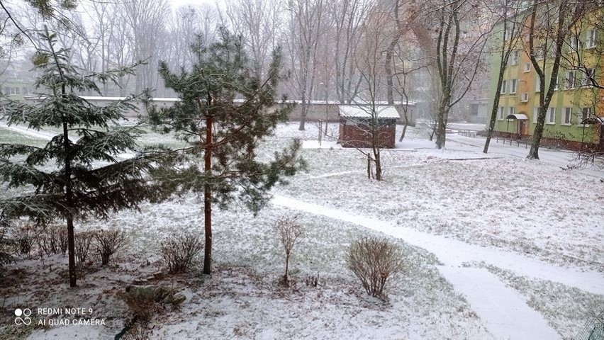 W Radomiu i regionie spadł śnieg. Dawno już nie było...