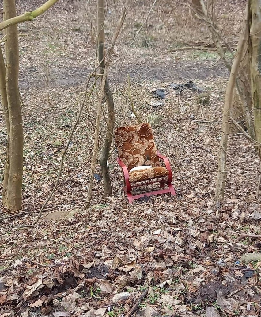 Okolice wąwozu przy ulicach Plater i Dąbka.