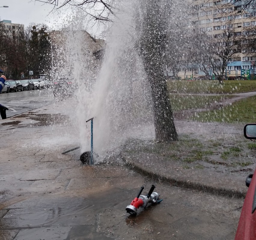 Awaria wodociągu we Wrocławiu. Woda tryskała kilka metrów w górę [ZOBACZ]