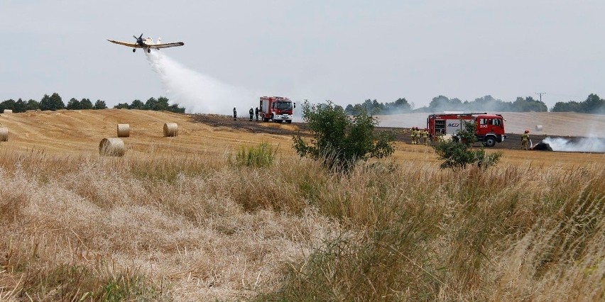 Pożar w Częstochowie: ogień objął teren o powierzchni kilku...