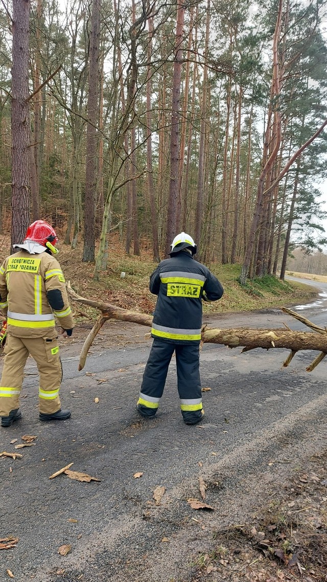 OSP Główczyce: O godzinie 12.20 zostaliśmy zadysponowani do powalonego drzewa, które częściowo blokowało drogę powiatową za miejscowością Zgierz. Zadysponowano OSP Główczyce: GBA 2,5/24/6 Mercedes Atego.